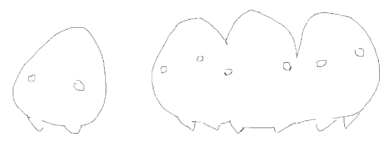 iu_1093109_8037607.png