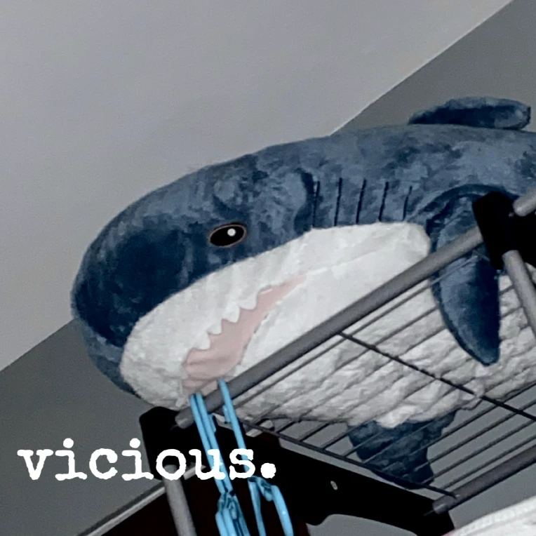 iu_1093772_7599326.webp