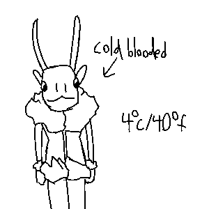 Bundled Up by duimaurisfootball on Newgrounds