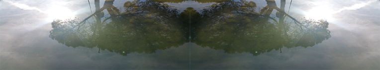 iu_372277_7079330.png