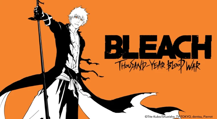 Bleach, Toonami Wiki